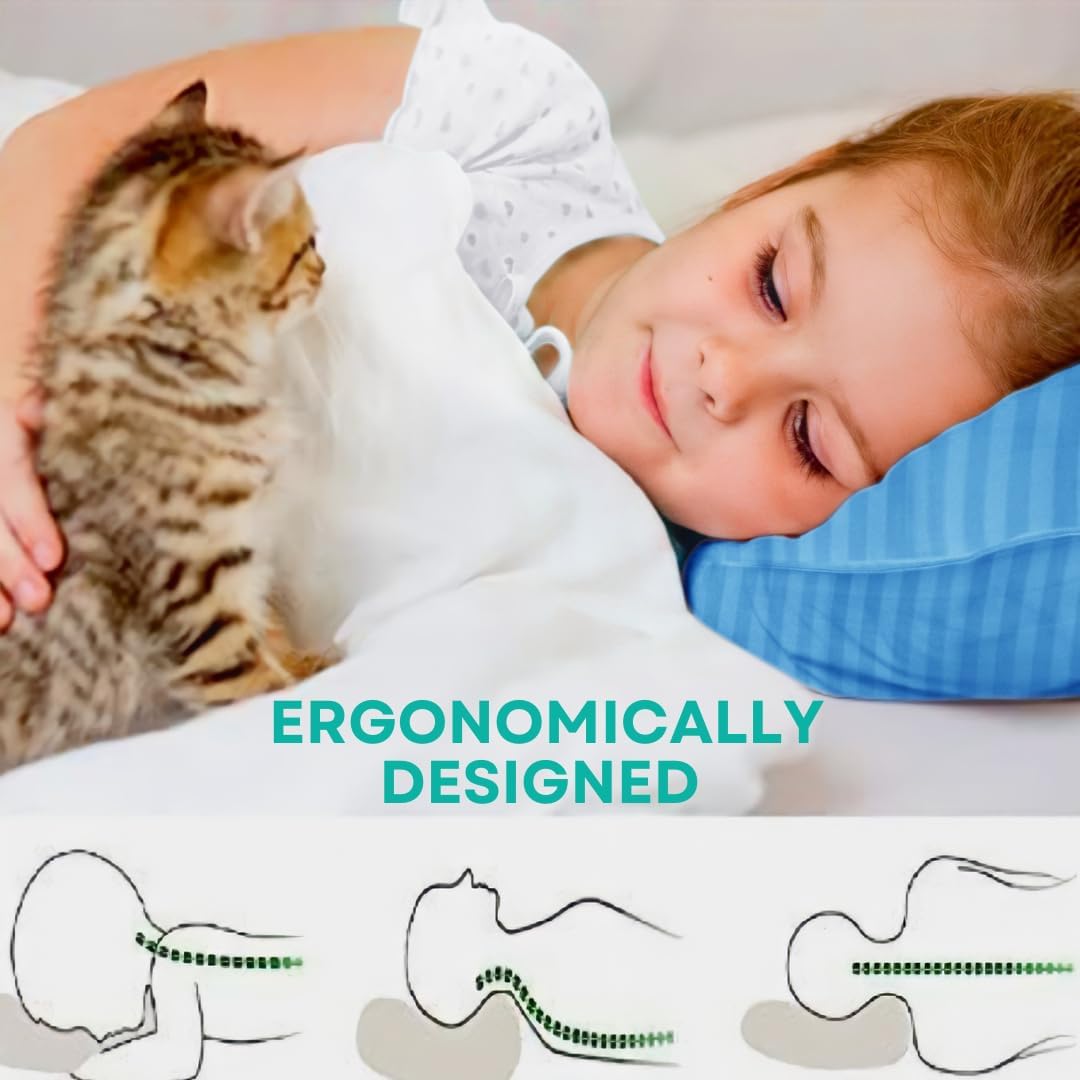 kinder Fluff Toddler Pillow (2-Pack) – The Only 300TC Soft Cotton Pillow with Down Alternative Fill – Hypoallergenic, Machine Washable & Perfect for Kids 2+ Years (13x18in, Blue)