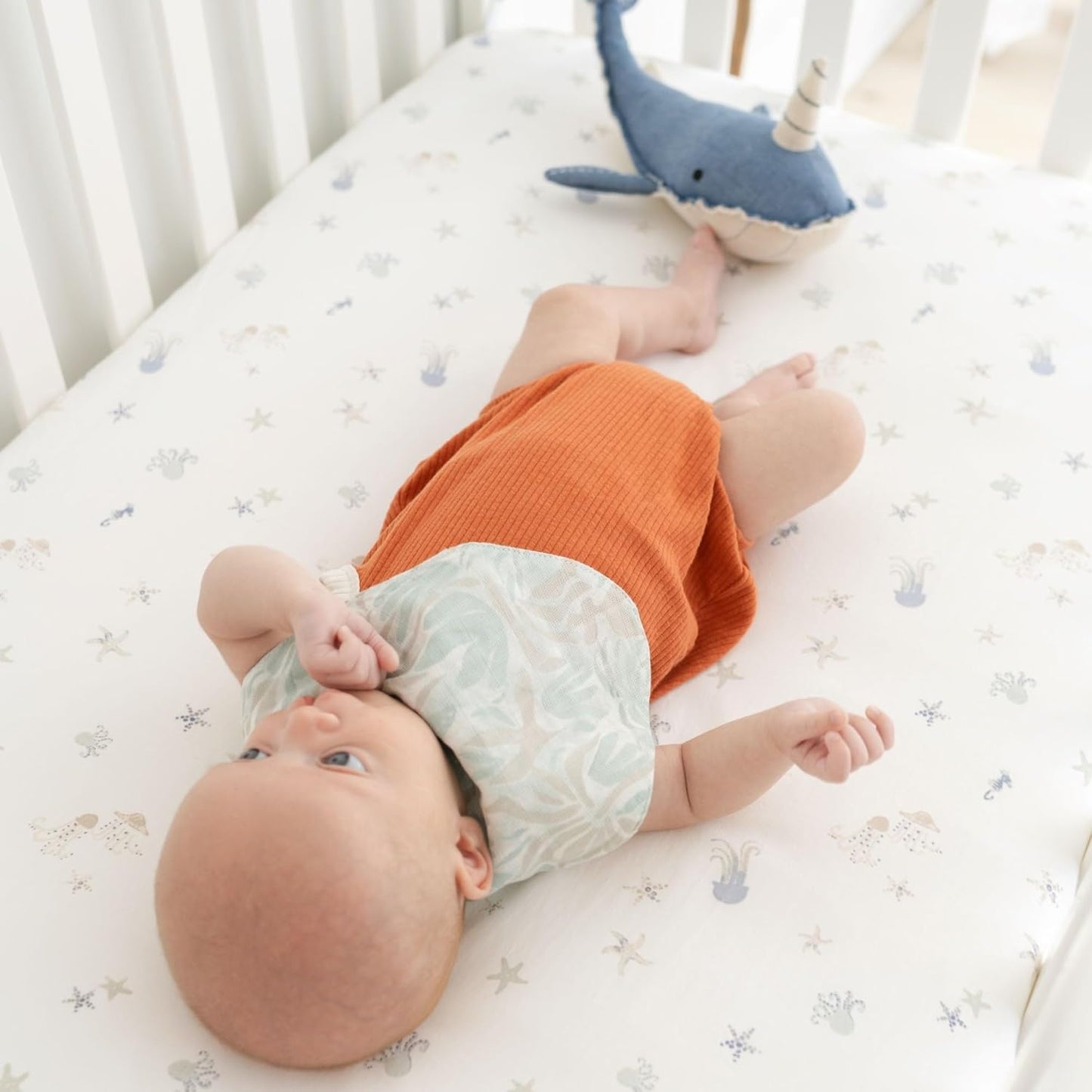 Crane Baby 100% Cotton Animal Nursery Sheet with Jellyfish Design, Neutral Crib Sheets, Fitted Toddler Sheet, 28" x 52"Standard Size Sea Life Crib Sheet