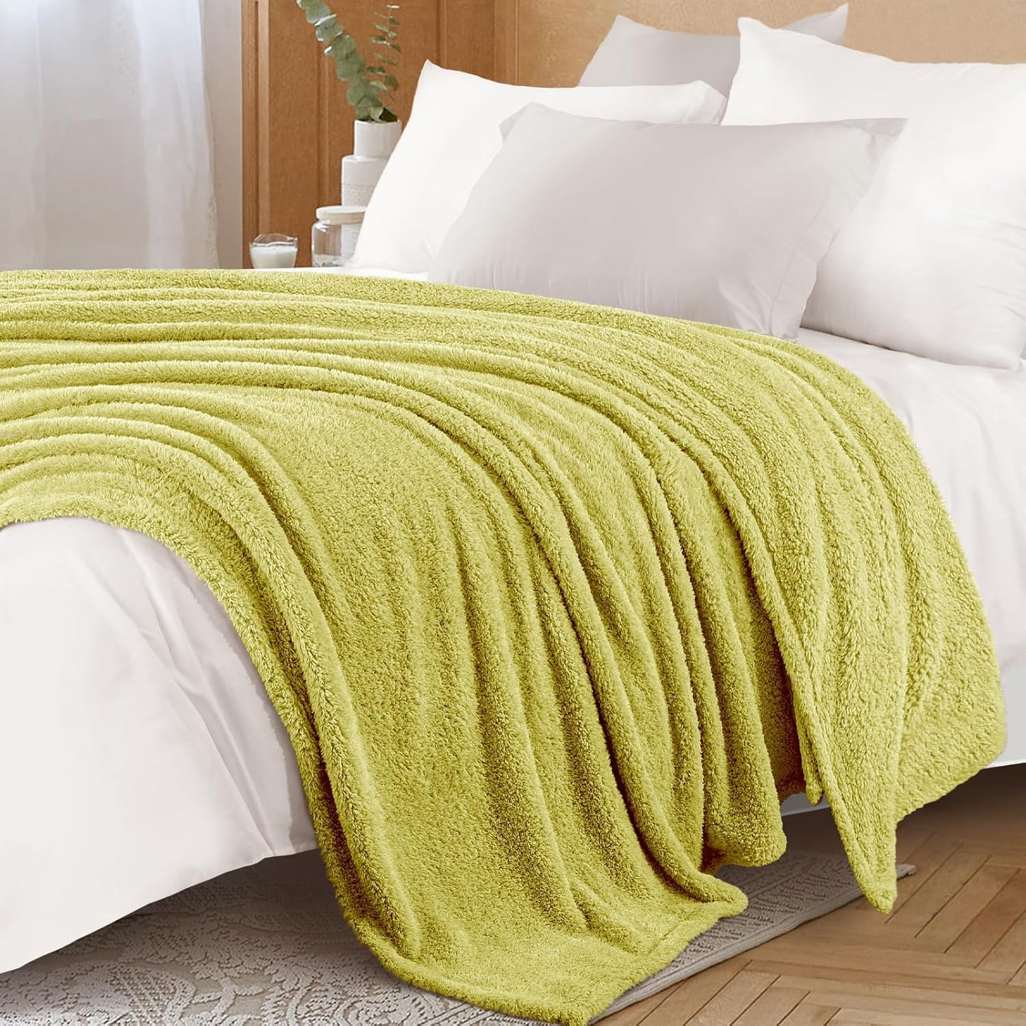 Exclusivo Mezcla Fleece Throw Blanket for Couch Sofa, Soft Warm and Fluffy Blankets for Women Men Girls Kids, Suitable for All Seasons, Light Green, 50x60 Inches